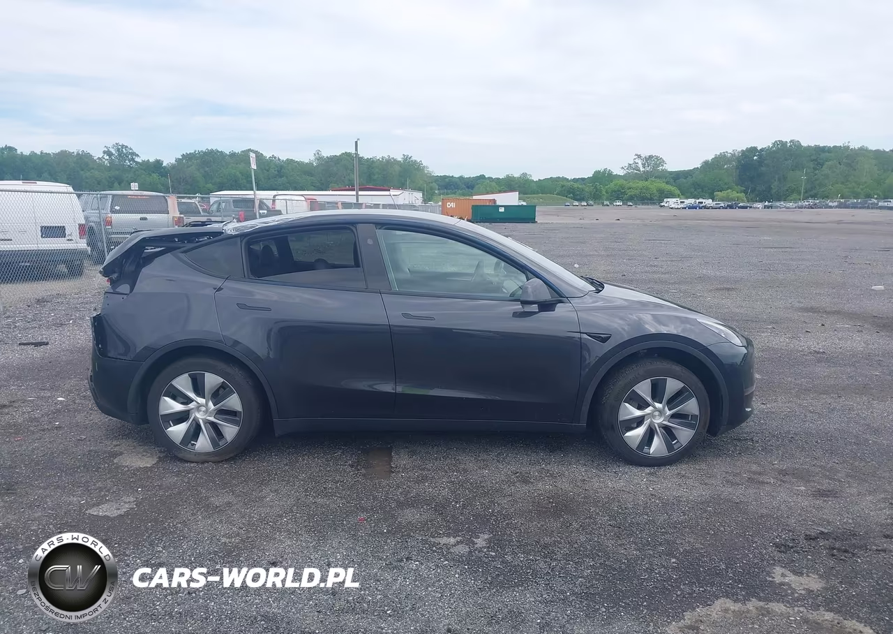2024 Tesla Model Y VIN:7SAYGDED9RF017950 - 12