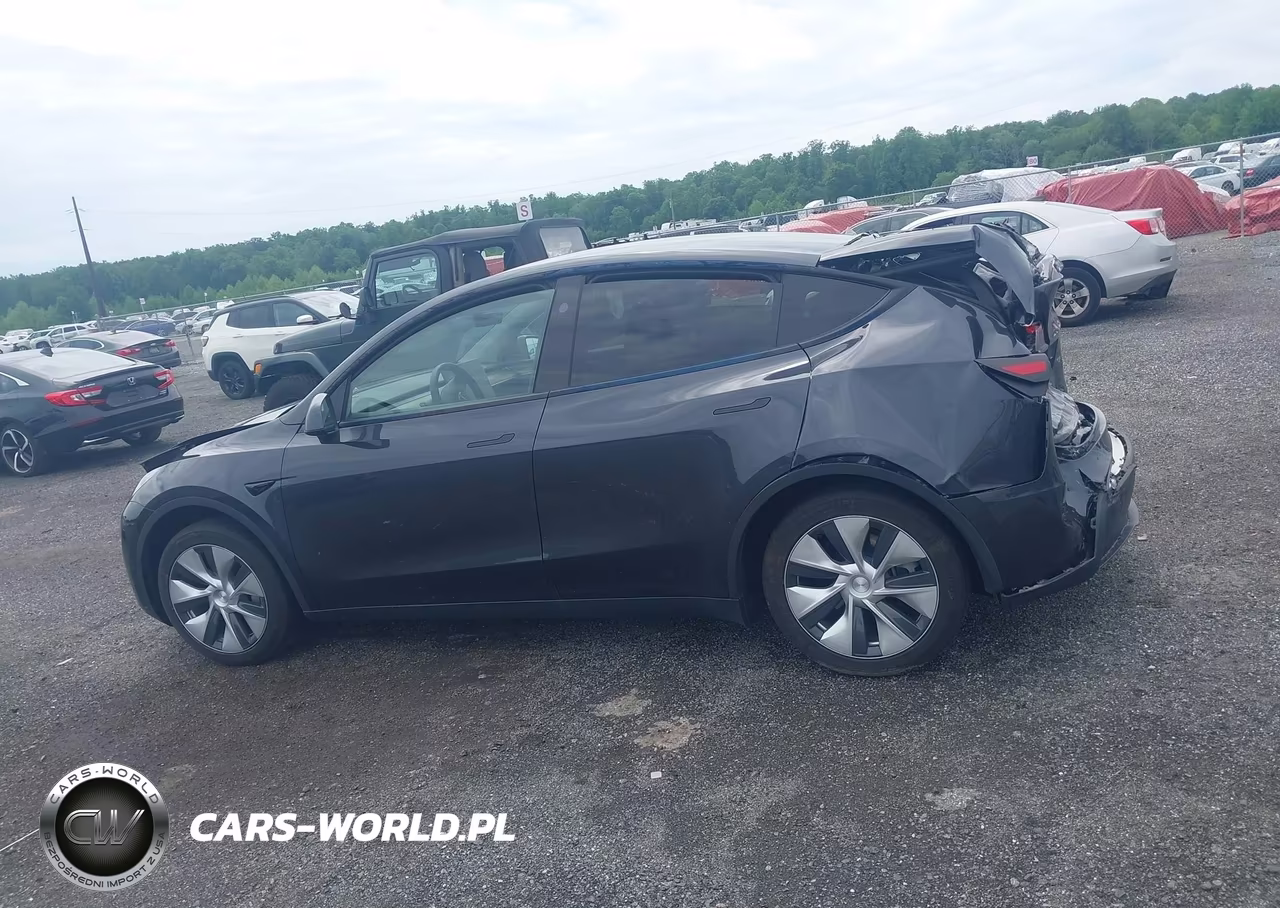 2024 Tesla Model Y VIN:7SAYGDED9RF017950 - 13