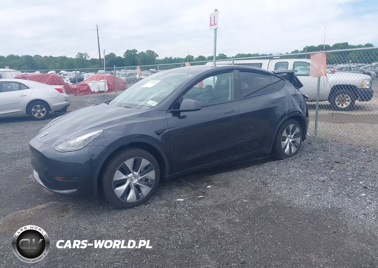 2024 Tesla Model Y VIN:7SAYGDED9RF017950 - 2