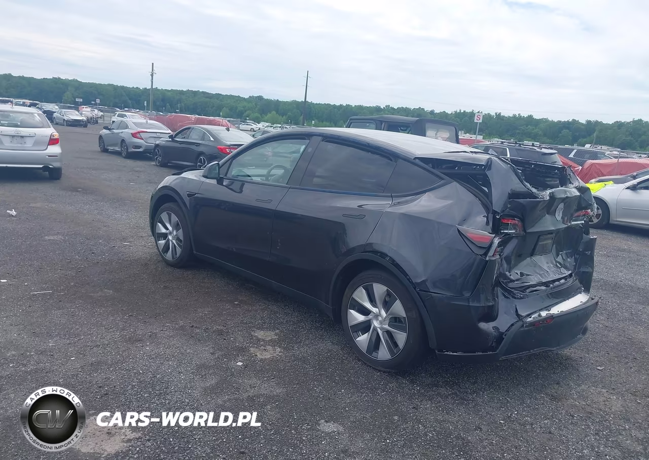 2024 Tesla Model Y VIN:7SAYGDED9RF017950 - 3