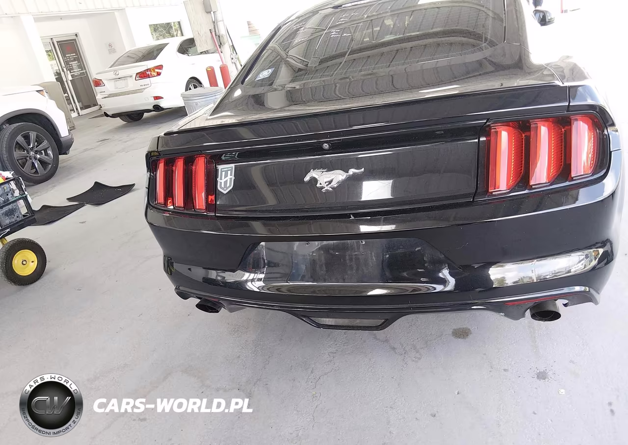 2017 Ford Mustang Ecoboost VIN:1FA6P8TH5H5208806 - 17