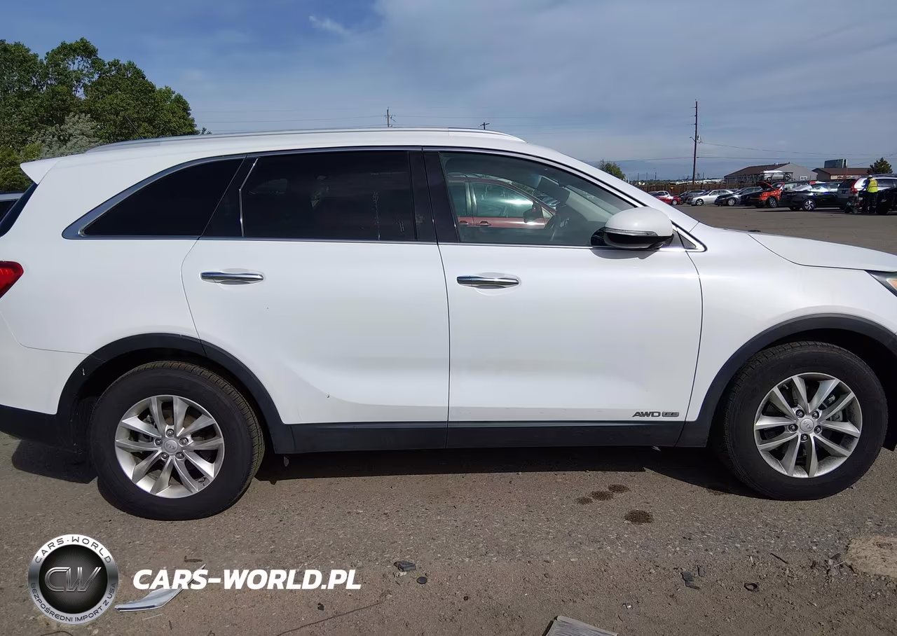 2016 Kia Sorento 3.3L Lx VIN:5XYPGDA58GG178013 - 13