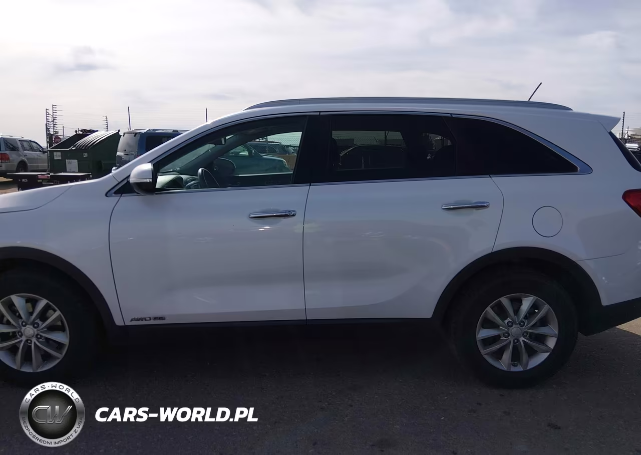 2016 Kia Sorento 3.3L Lx VIN:5XYPGDA58GG178013 - 14