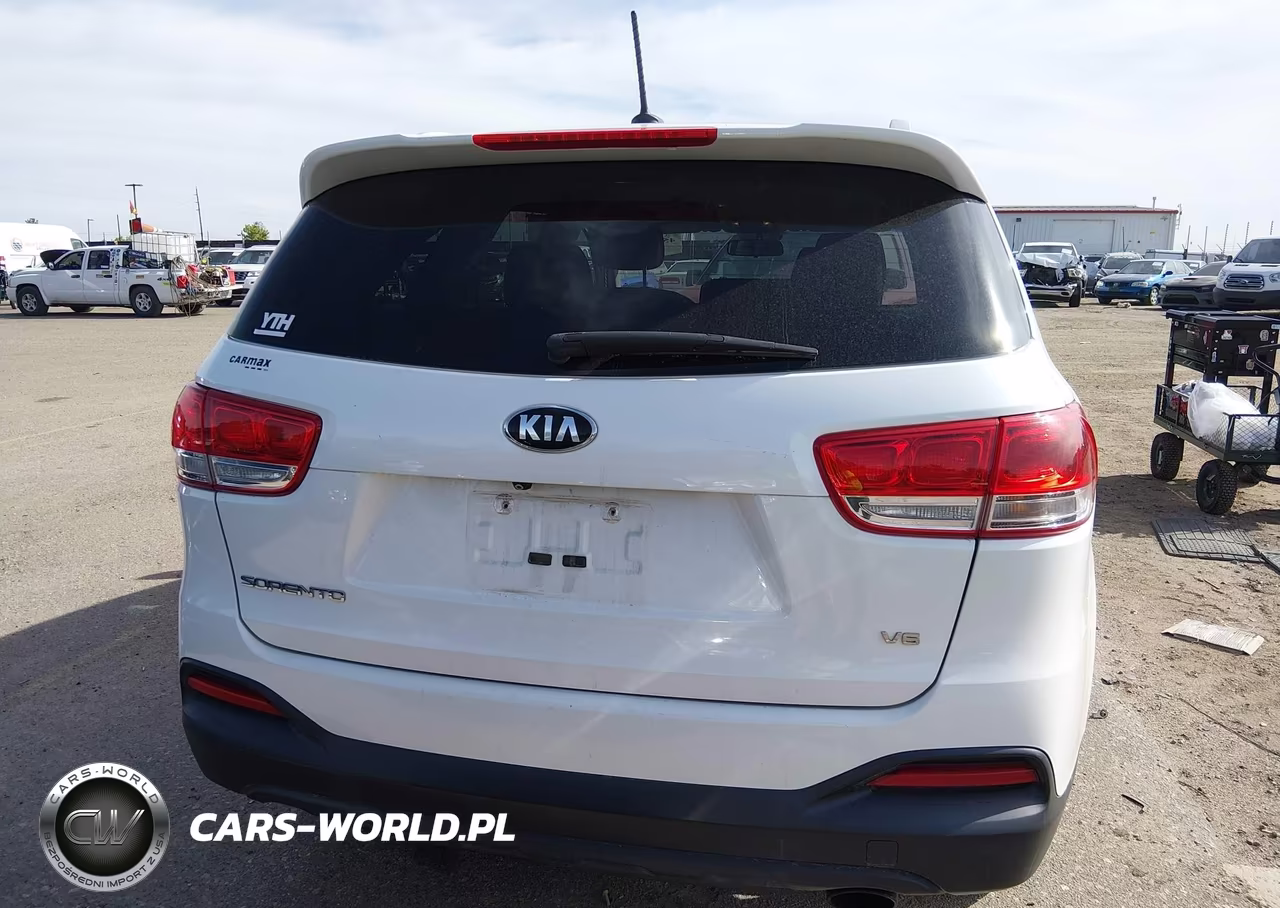 2016 Kia Sorento 3.3L Lx VIN:5XYPGDA58GG178013 - 16
