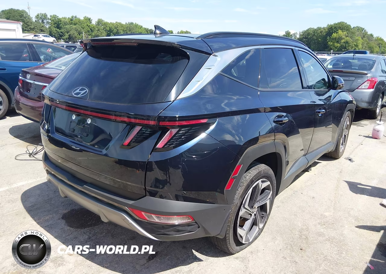 2024 Hyundai Tucson Limited VIN:KM8JE3DE0RU291372 - 4