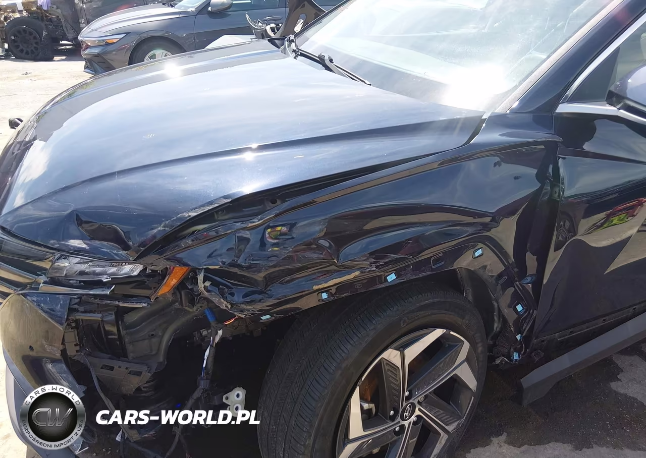 2024 Hyundai Tucson Limited VIN:KM8JE3DE0RU291372 - 6