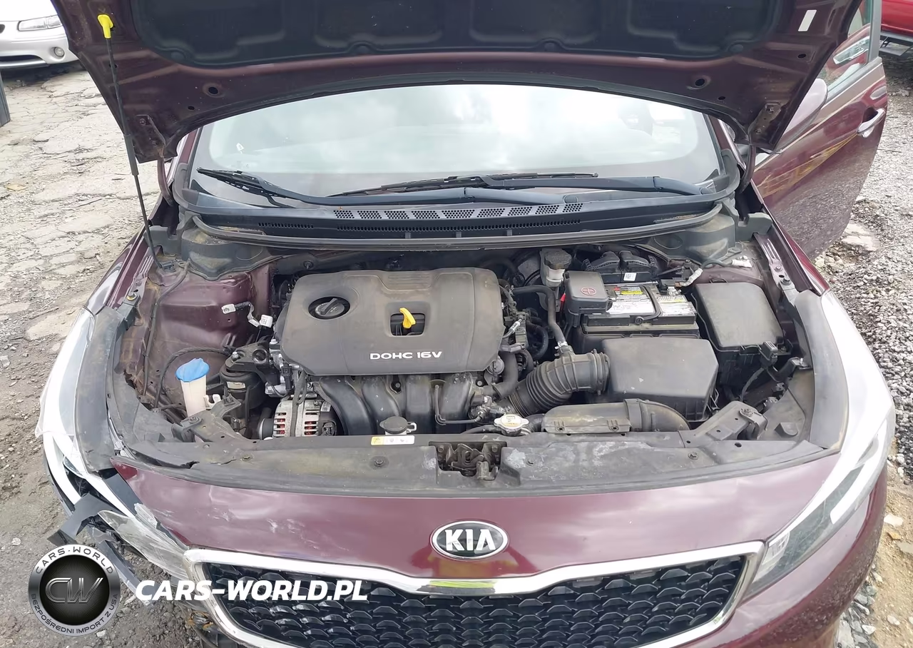2018 Kia Forte Lx VIN:3KPFK4A7XJE257179 - 10