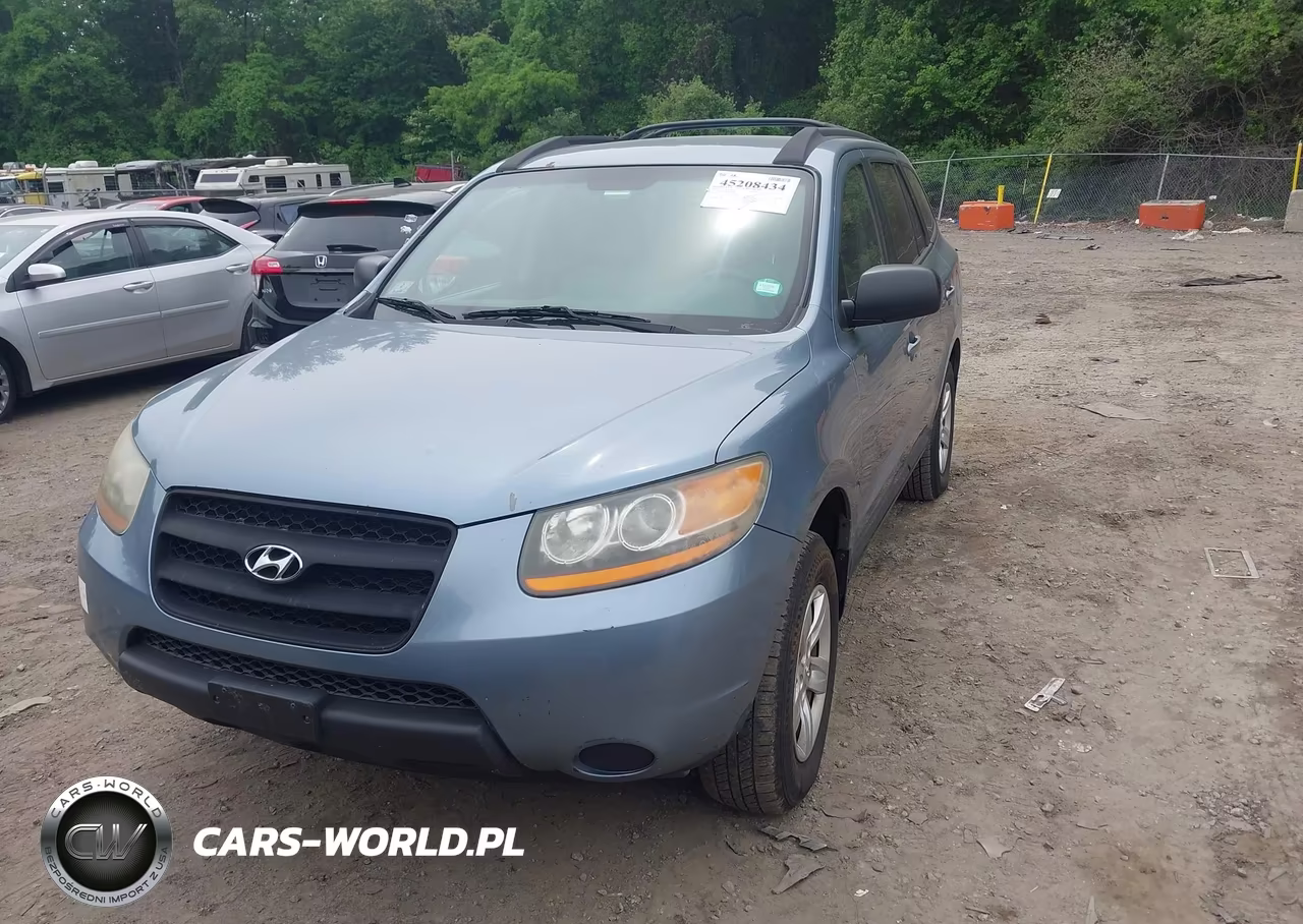 2009 Hyundai Santa Fe Gls VIN:5NMSG13DX9H299888 - 2