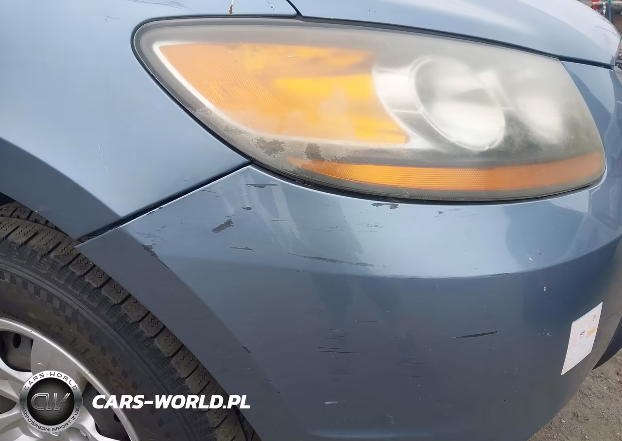 2009 Hyundai Santa Fe Gls VIN:5NMSG13DX9H299888 - 6