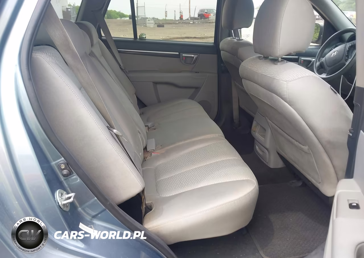 2009 Hyundai Santa Fe Gls VIN:5NMSG13DX9H299888 - 8