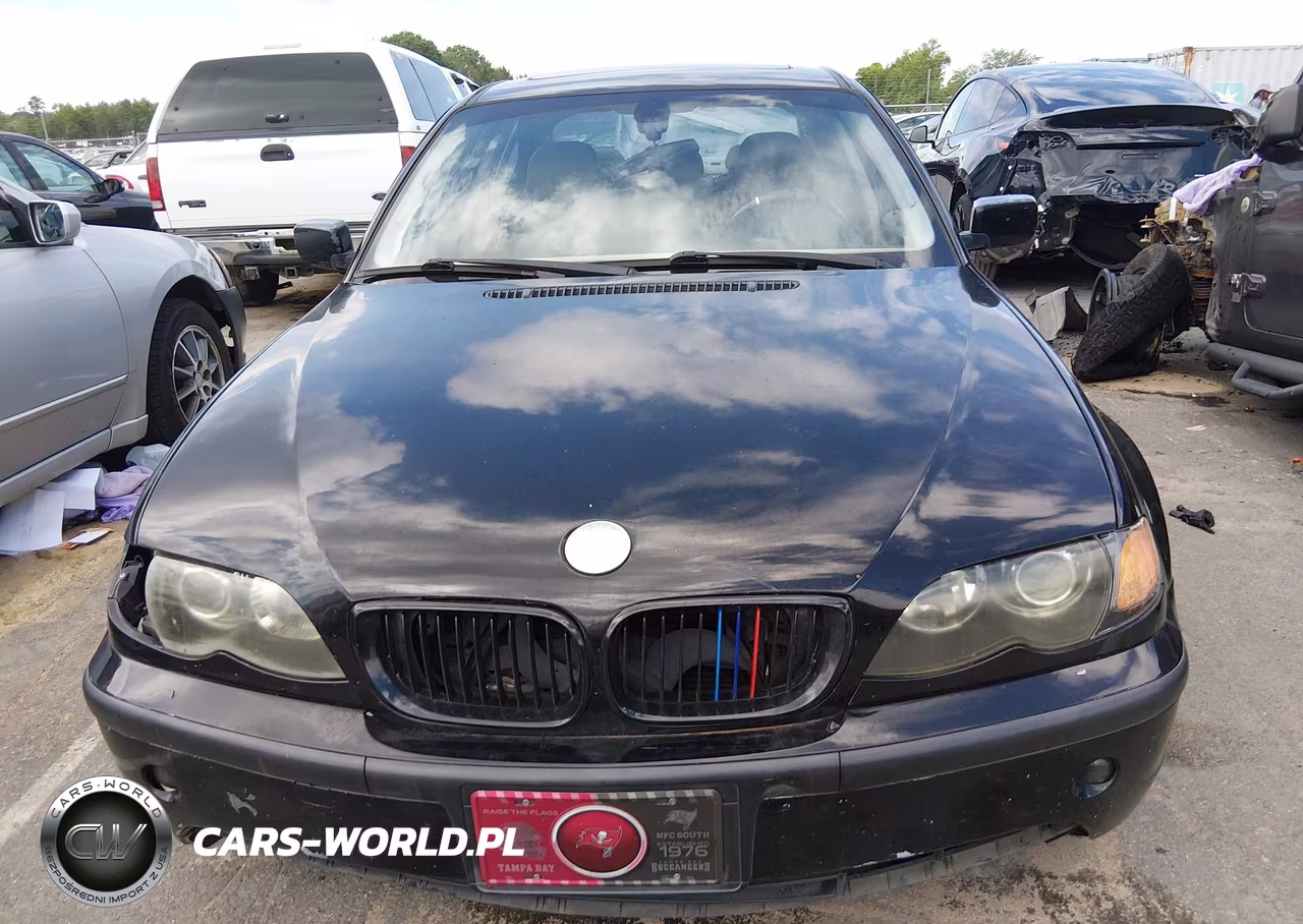 2003 BMW 325I VIN:WBAEV33423KL87132 - 12