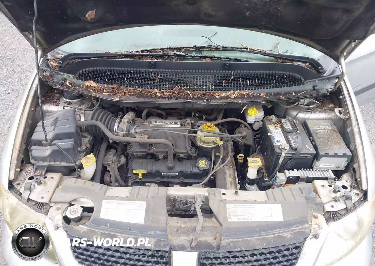 2003 Dodge Grand Caravan Sport VIN:2D4GP44L73R145555 - 10