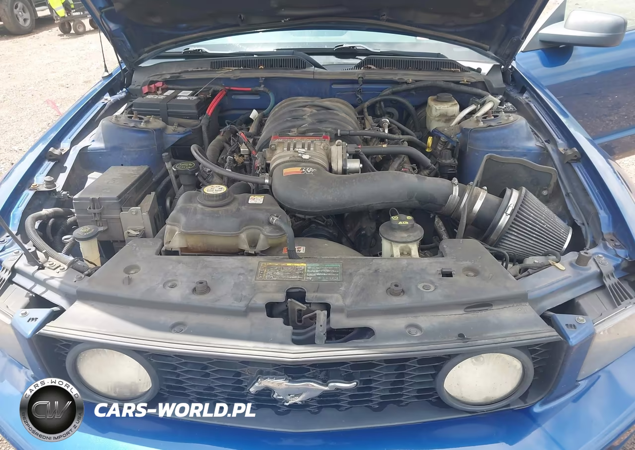 2006 Ford Mustang Gt VIN:1ZVFT82H065217074 - 10