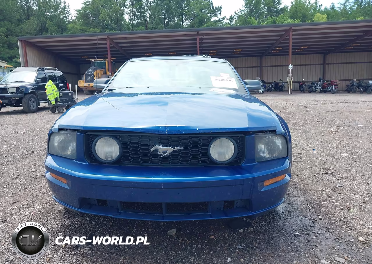 2006 Ford Mustang Gt VIN:1ZVFT82H065217074 - 12