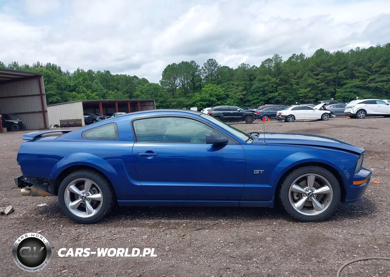 2006 Ford Mustang Gt VIN:1ZVFT82H065217074 - 13