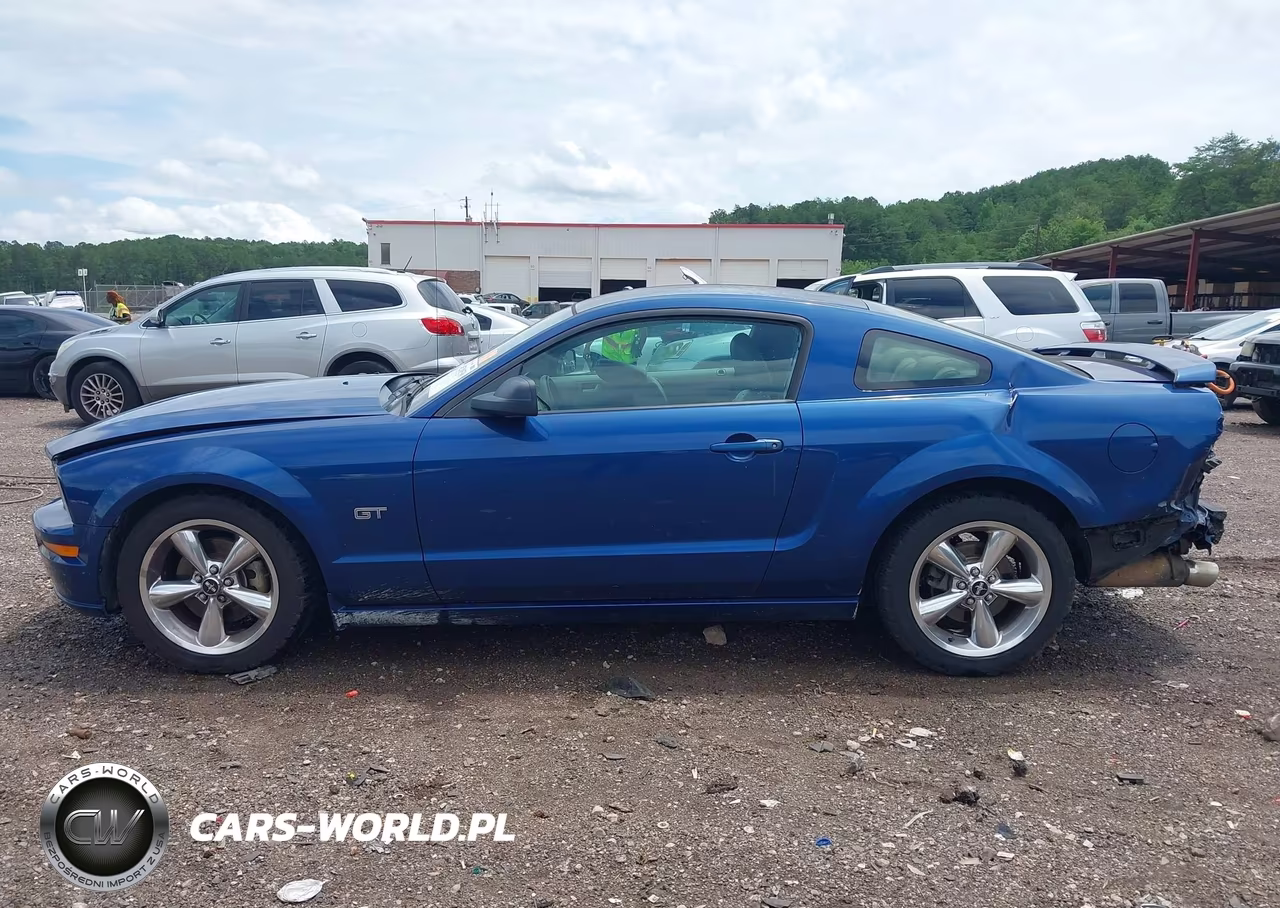 2006 Ford Mustang Gt VIN:1ZVFT82H065217074 - 14