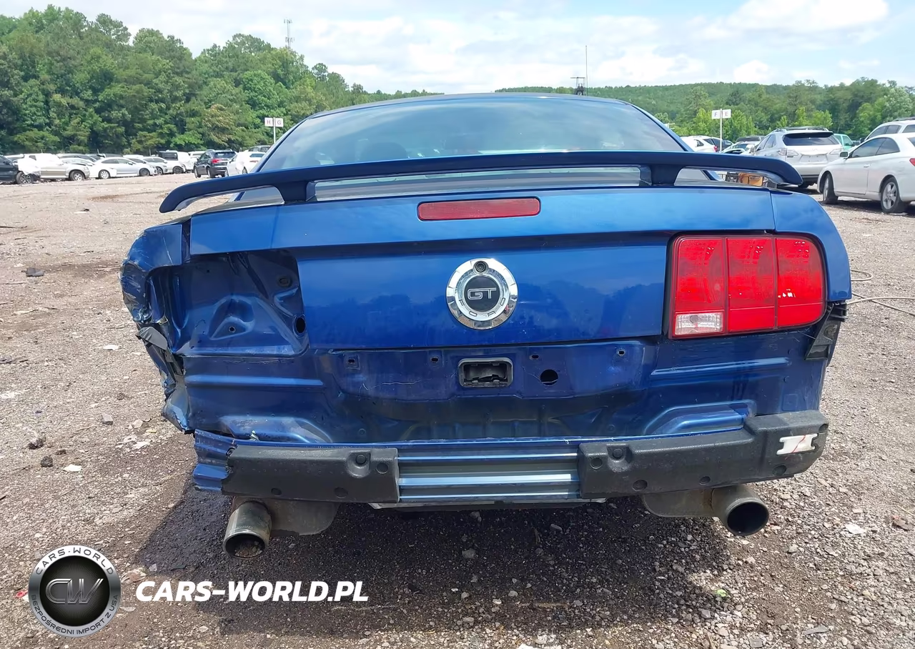 2006 Ford Mustang Gt VIN:1ZVFT82H065217074 - 16