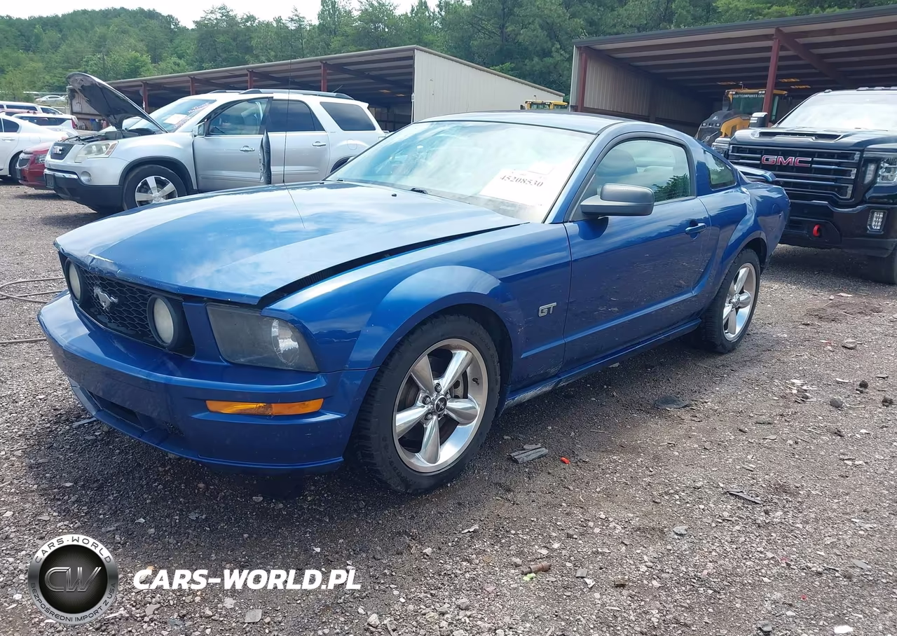 2006 Ford Mustang Gt VIN:1ZVFT82H065217074 - 2
