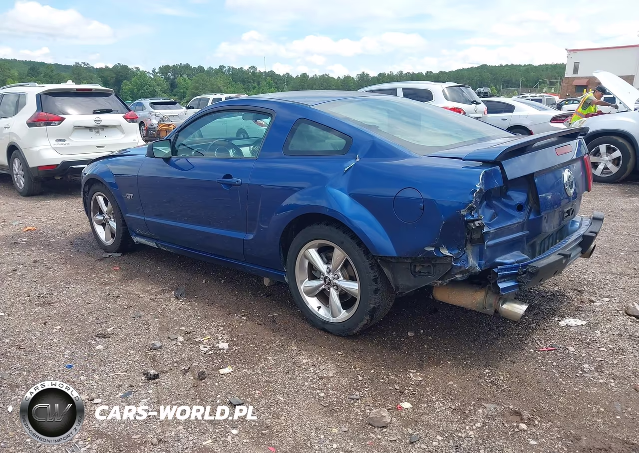 2006 Ford Mustang Gt VIN:1ZVFT82H065217074 - 3