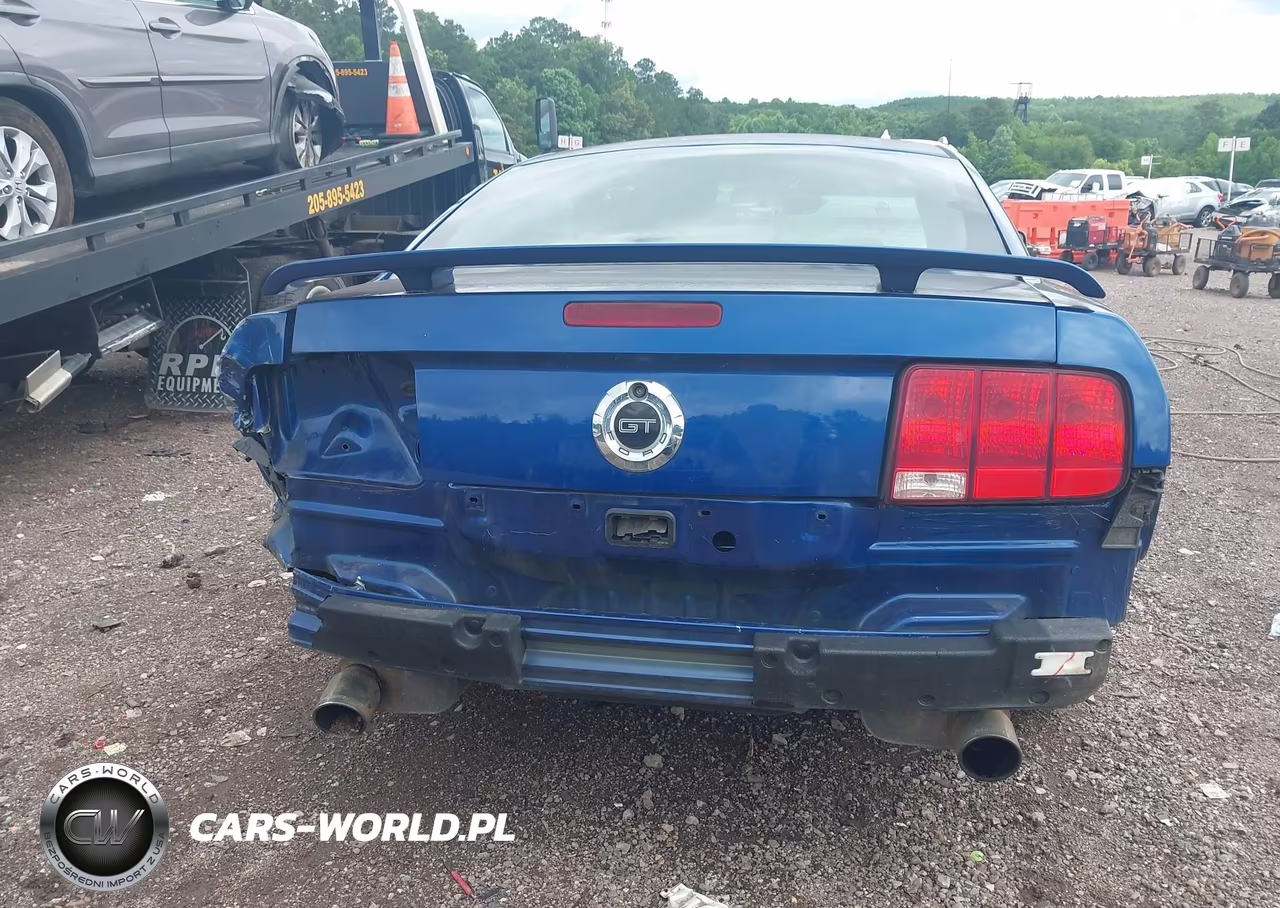 2006 Ford Mustang Gt VIN:1ZVFT82H065217074 - 6