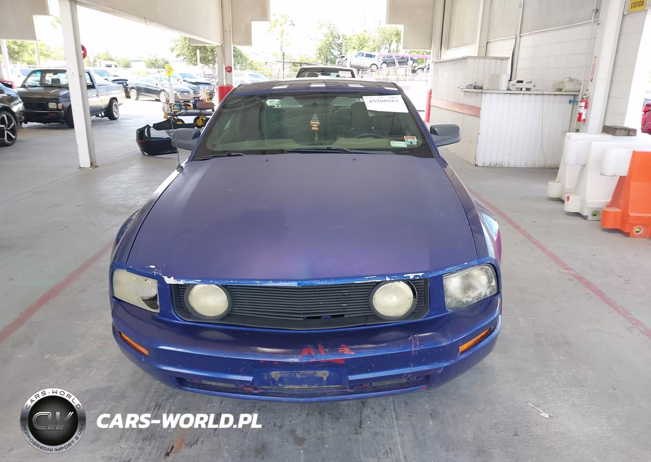 2005 Ford Mustang V6 Deluxe-V6 Premium VIN:1ZVFT80N955154077 - 12