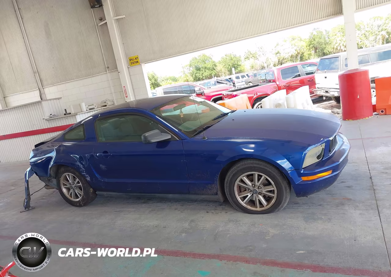 2005 Ford Mustang V6 Deluxe-V6 Premium VIN:1ZVFT80N955154077 - 13