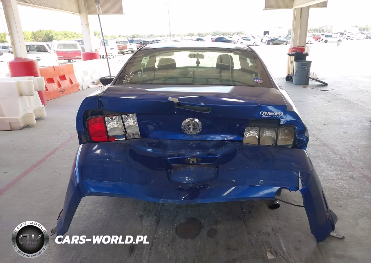 2005 Ford Mustang V6 Deluxe-V6 Premium VIN:1ZVFT80N955154077 - 16