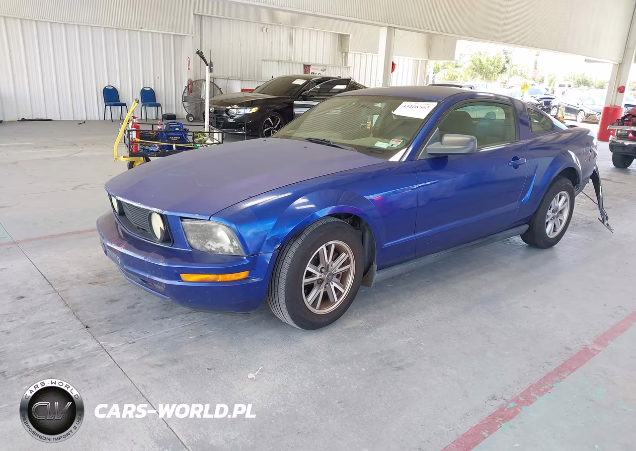 2005 Ford Mustang V6 Deluxe-V6 Premium VIN:1ZVFT80N955154077 - 2