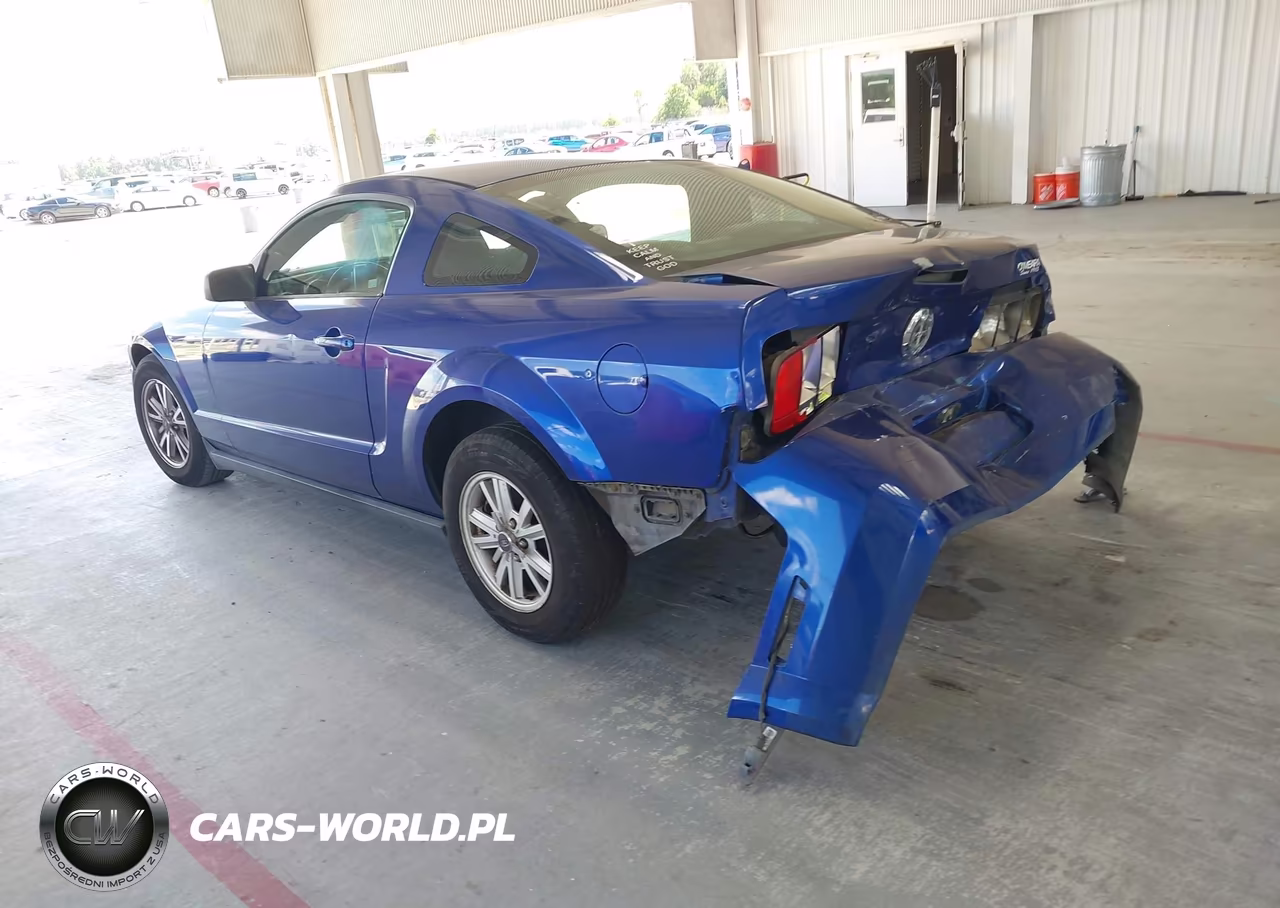 2005 Ford Mustang V6 Deluxe-V6 Premium VIN:1ZVFT80N955154077 - 3