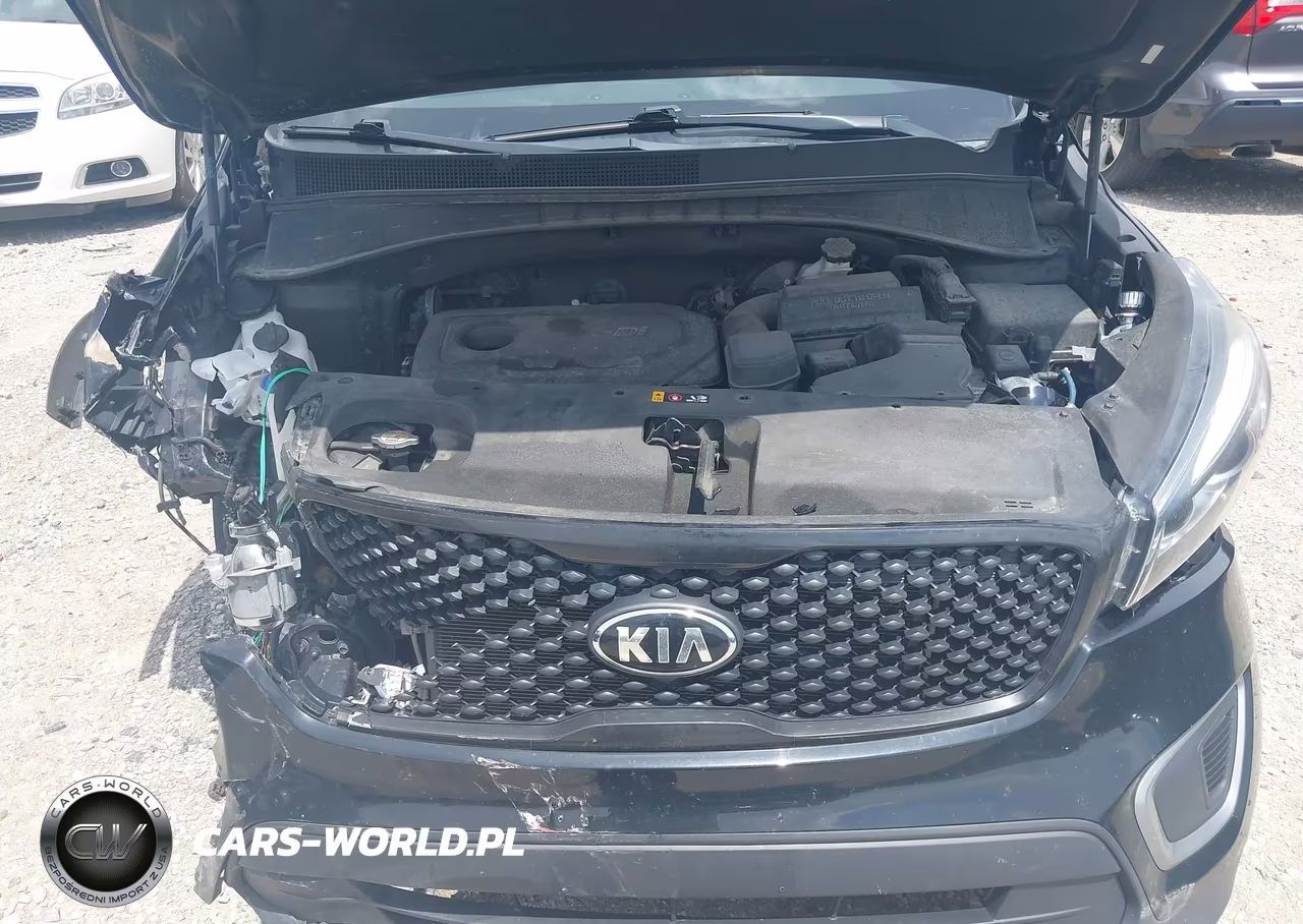 2017 Kia Sorento 2.4L Lx VIN:5XYPGDA3XHG297780 - 10