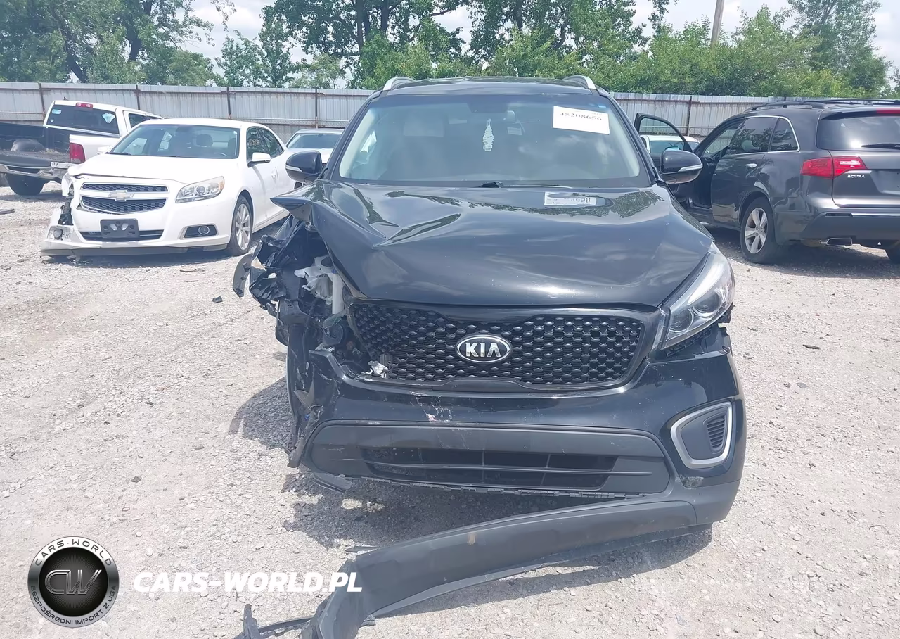 2017 Kia Sorento 2.4L Lx VIN:5XYPGDA3XHG297780 - 12