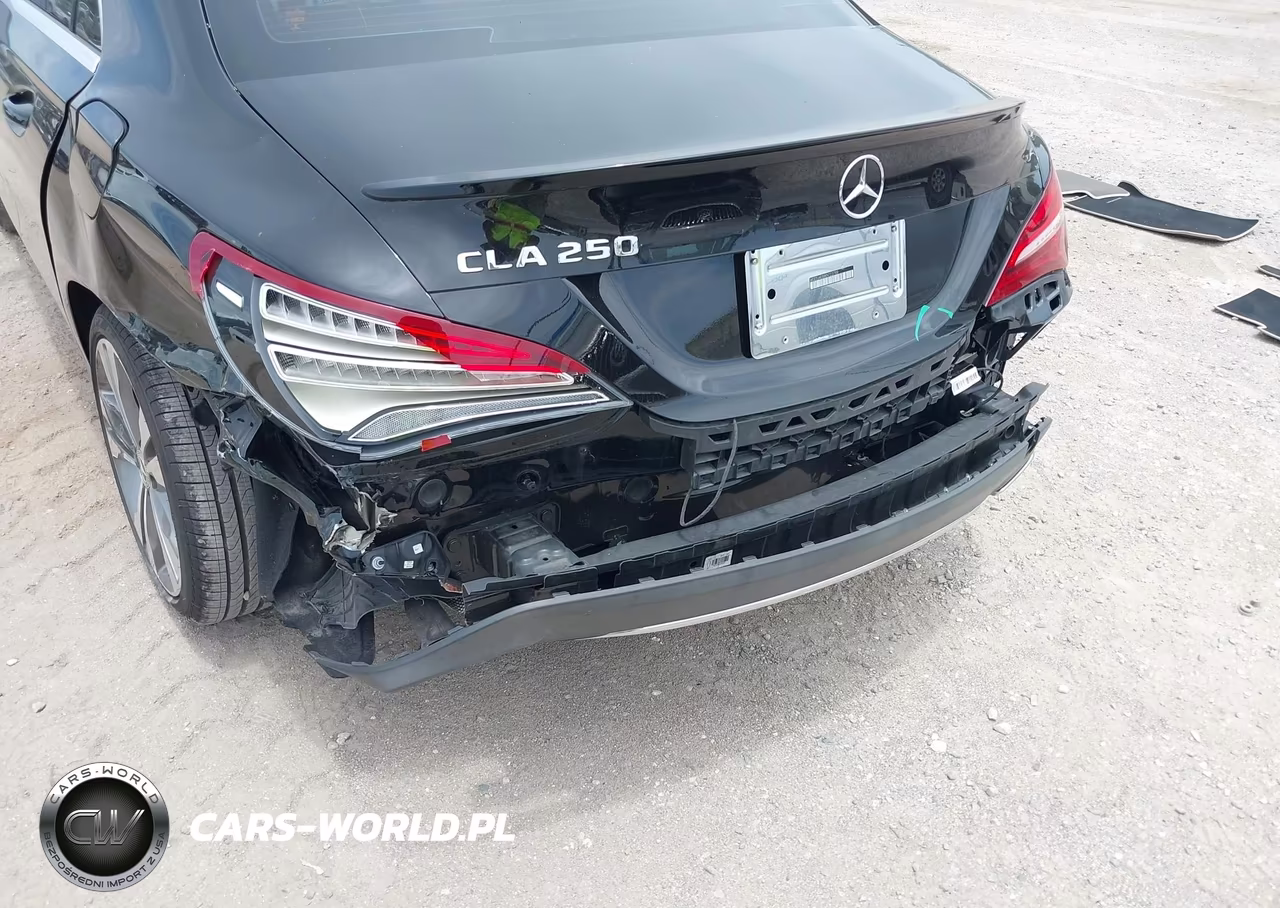 2019 Mercedes-Benz Cla 250 VIN:WDDSJ4EB8KN723789 - 12