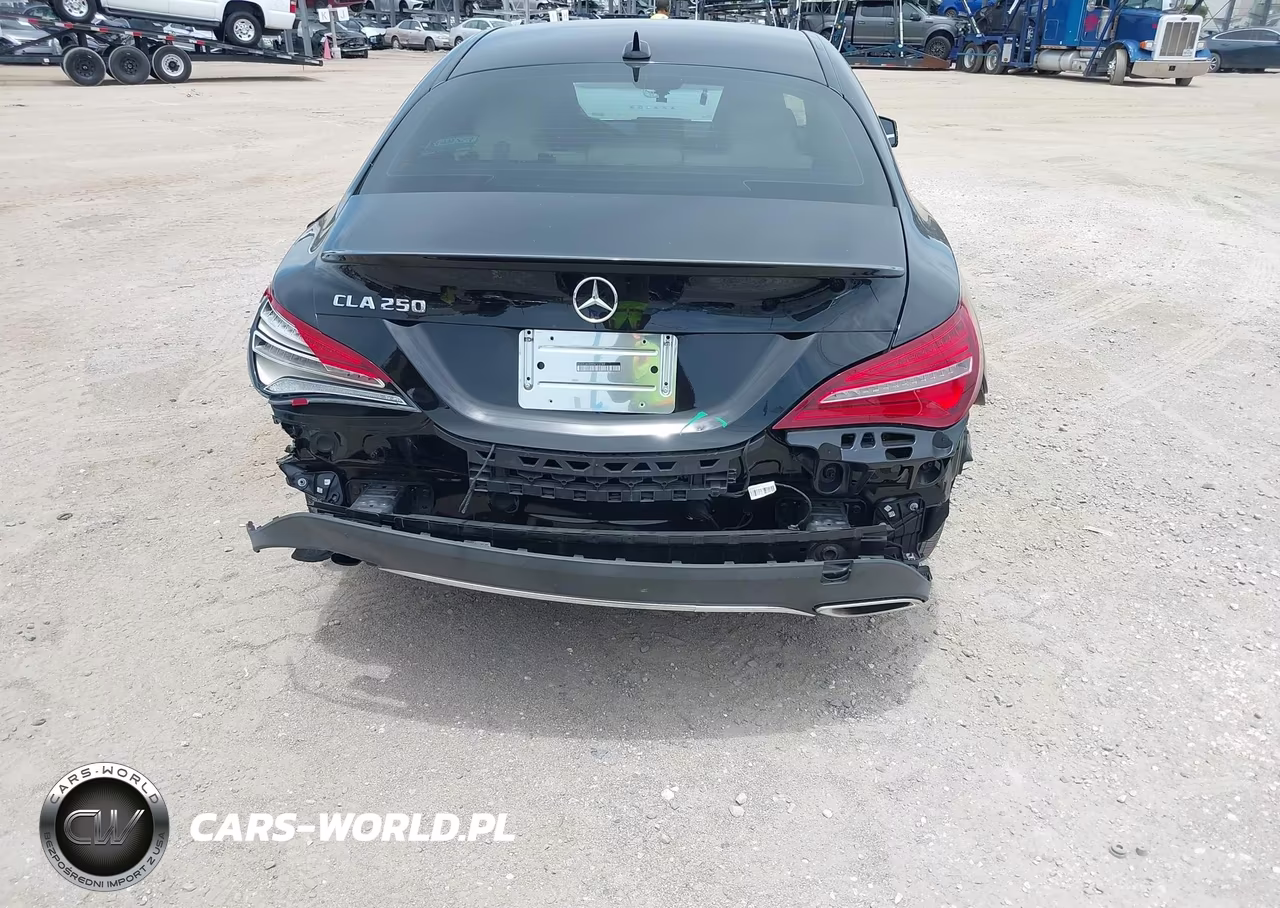 2019 Mercedes-Benz Cla 250 VIN:WDDSJ4EB8KN723789 - 17