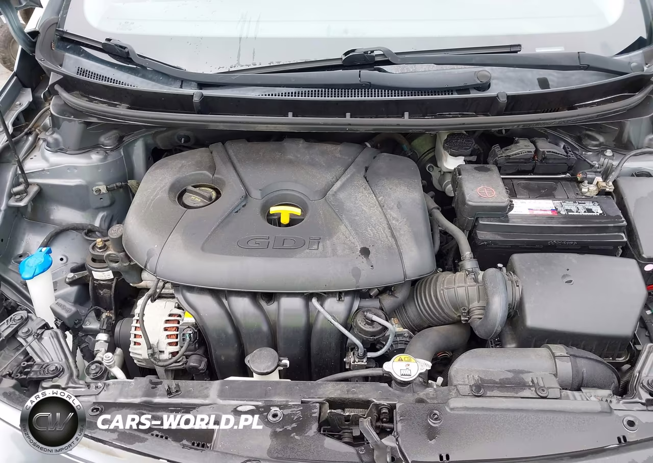 2016 Hyundai Elantra Gt VIN:KMHD35LHXGU296425 - 10