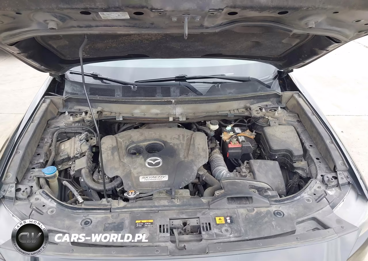 2016 Mazda Cx-9 Sport VIN:JM3TCABYXG0100718 - 10