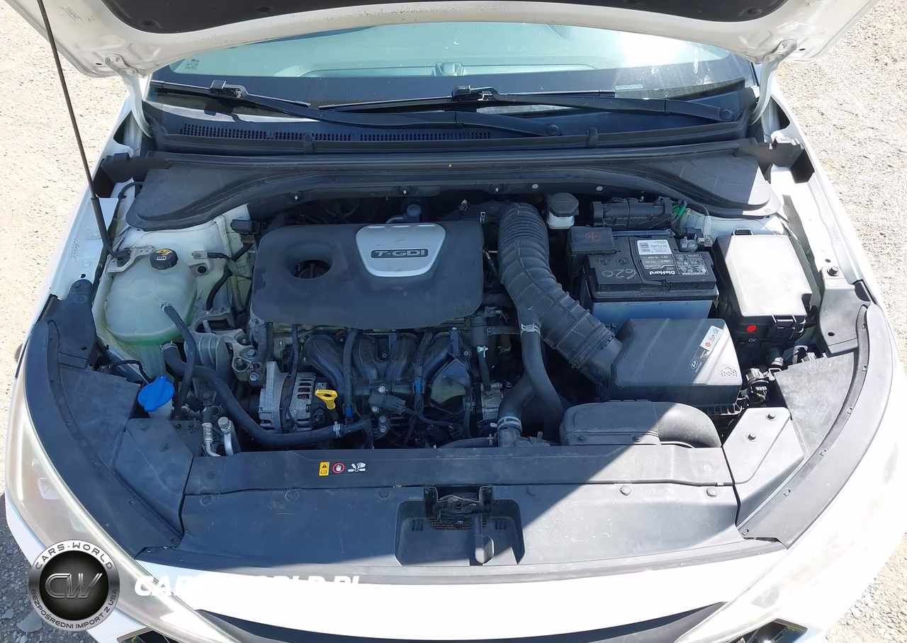 2019 Hyundai Elantra Sport VIN:KMHD04LB4KU811197 - 10