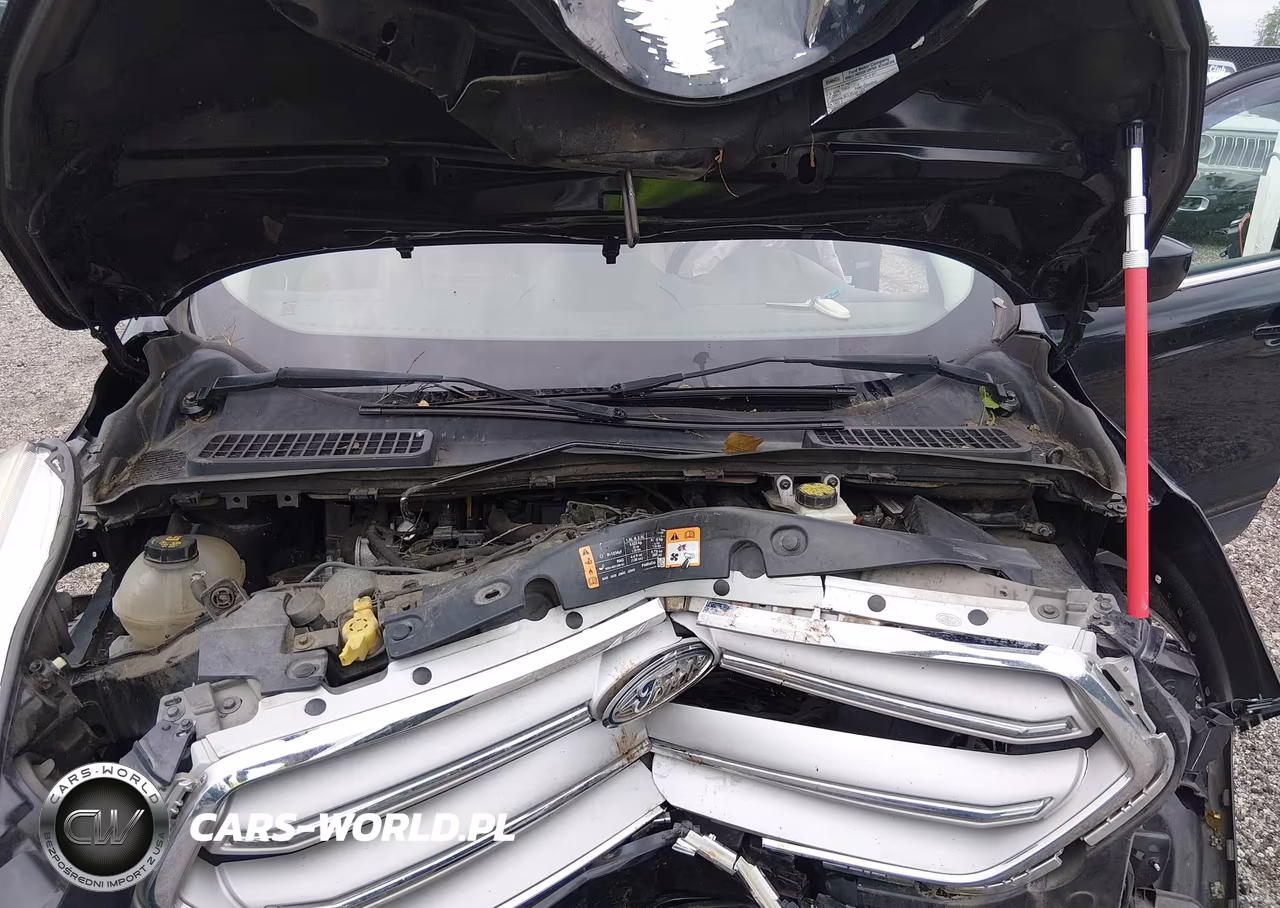 2019 Ford Escape Sel VIN:1FMCU0HD1KUB81223 - 10