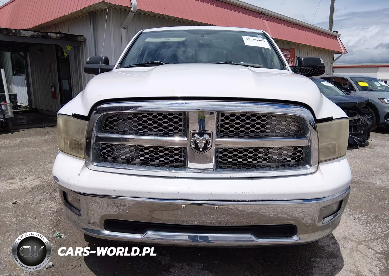2010 Dodge Ram 1500 Slt-Sport-Trx VIN:1D7RV1GP3AS230189 - 13