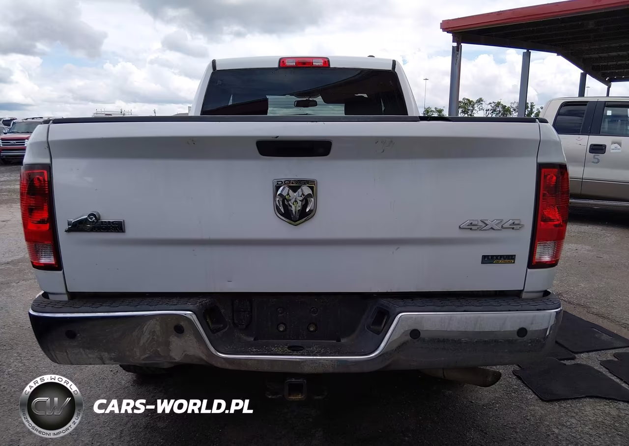 2010 Dodge Ram 1500 Slt-Sport-Trx VIN:1D7RV1GP3AS230189 - 17
