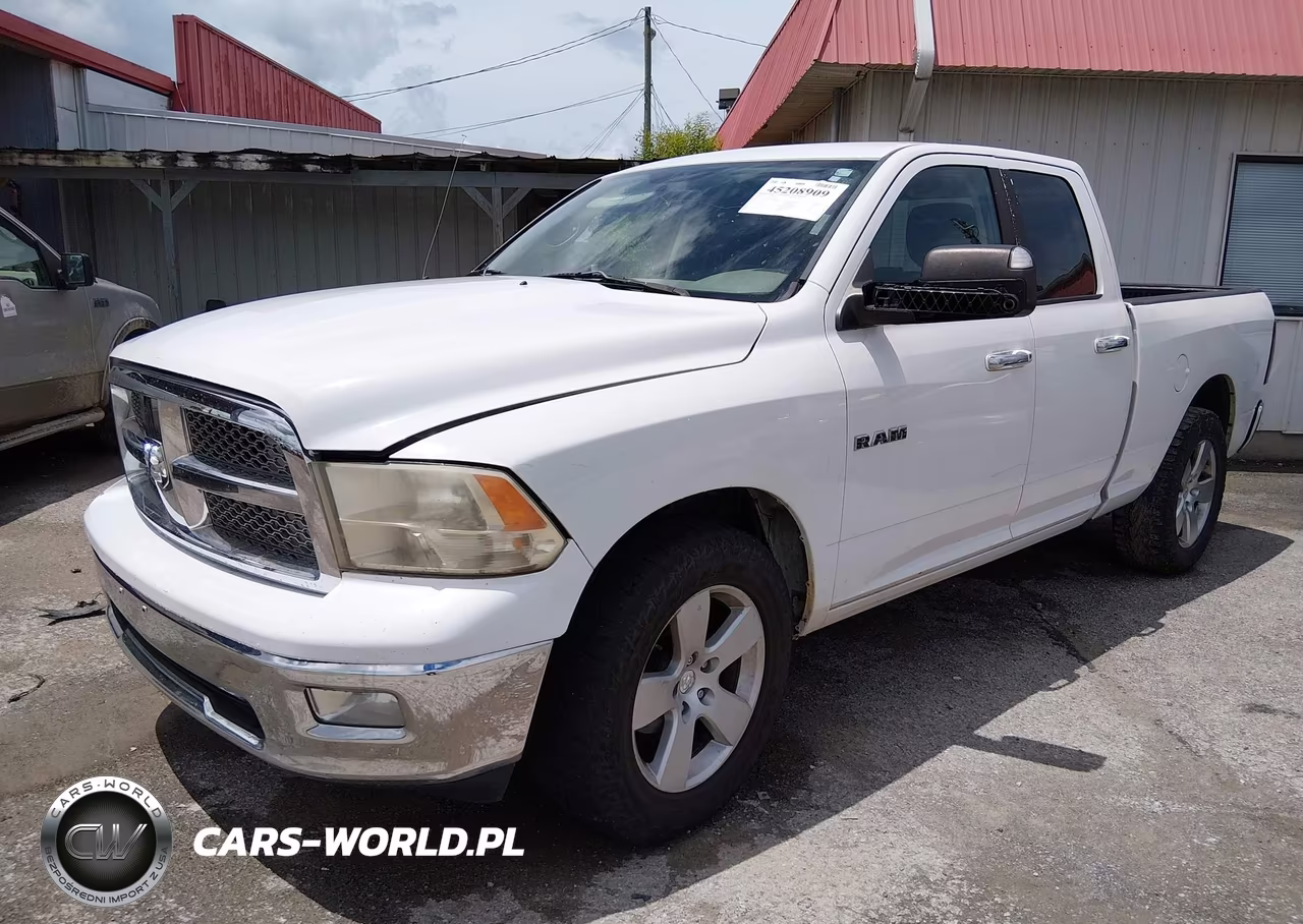 2010 Dodge Ram 1500 Slt-Sport-Trx VIN:1D7RV1GP3AS230189 - 2