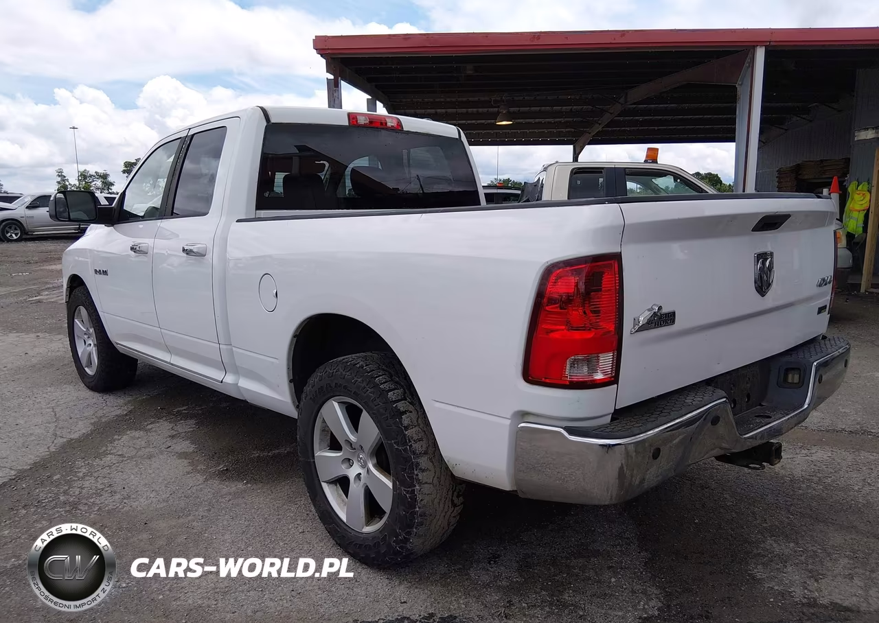 2010 Dodge Ram 1500 Slt-Sport-Trx VIN:1D7RV1GP3AS230189 - 3