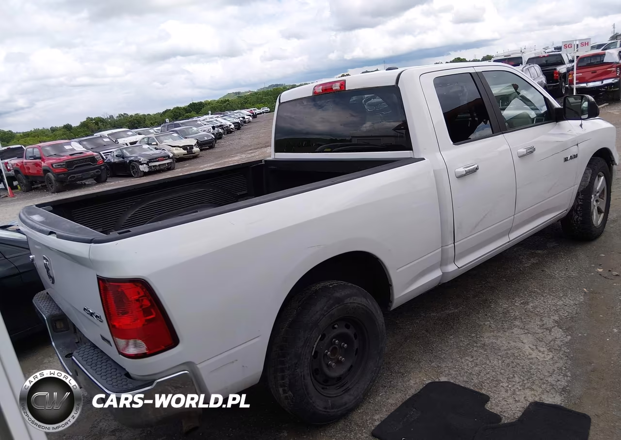 2010 Dodge Ram 1500 Slt-Sport-Trx VIN:1D7RV1GP3AS230189 - 4