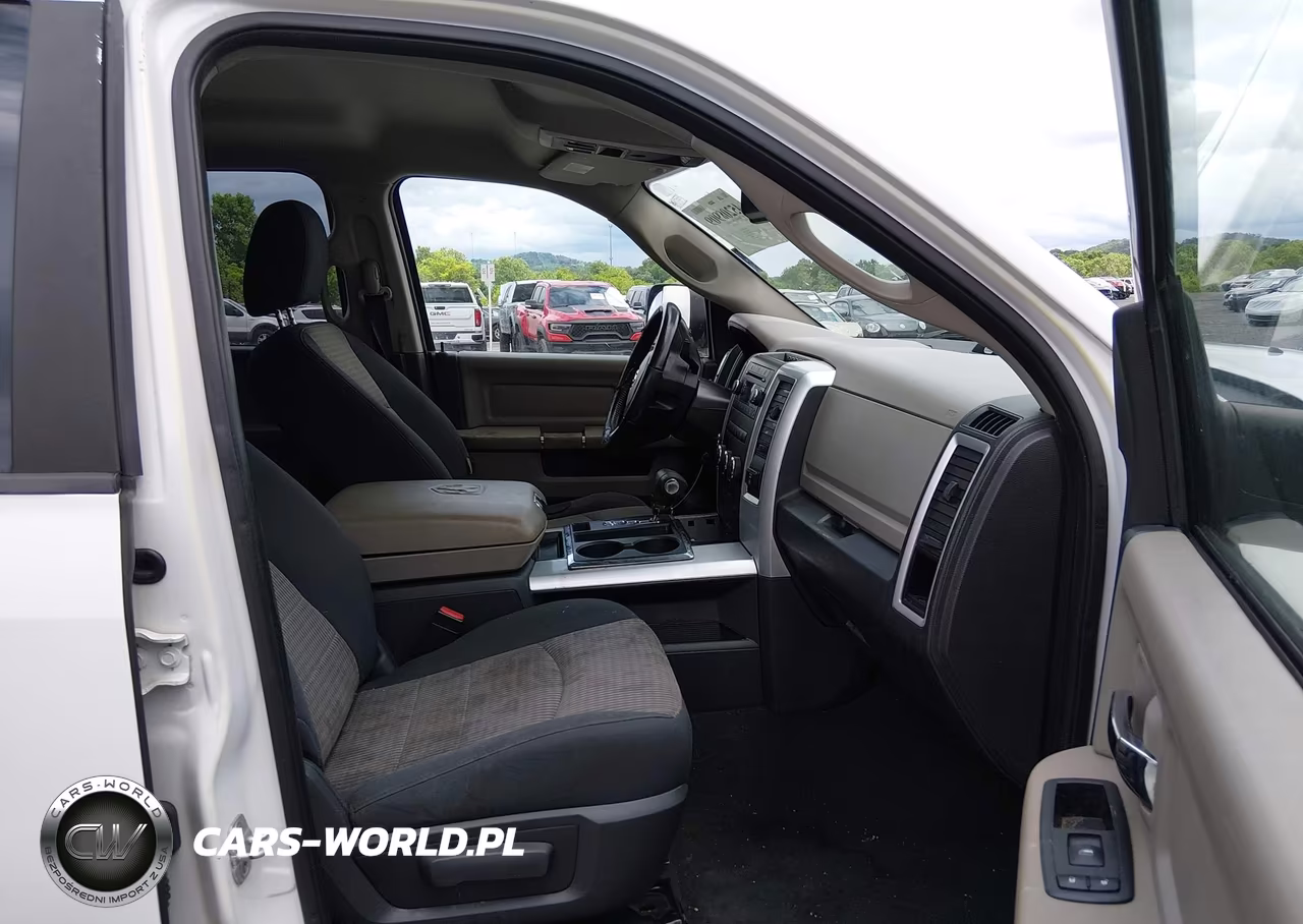 2010 Dodge Ram 1500 Slt-Sport-Trx VIN:1D7RV1GP3AS230189 - 5