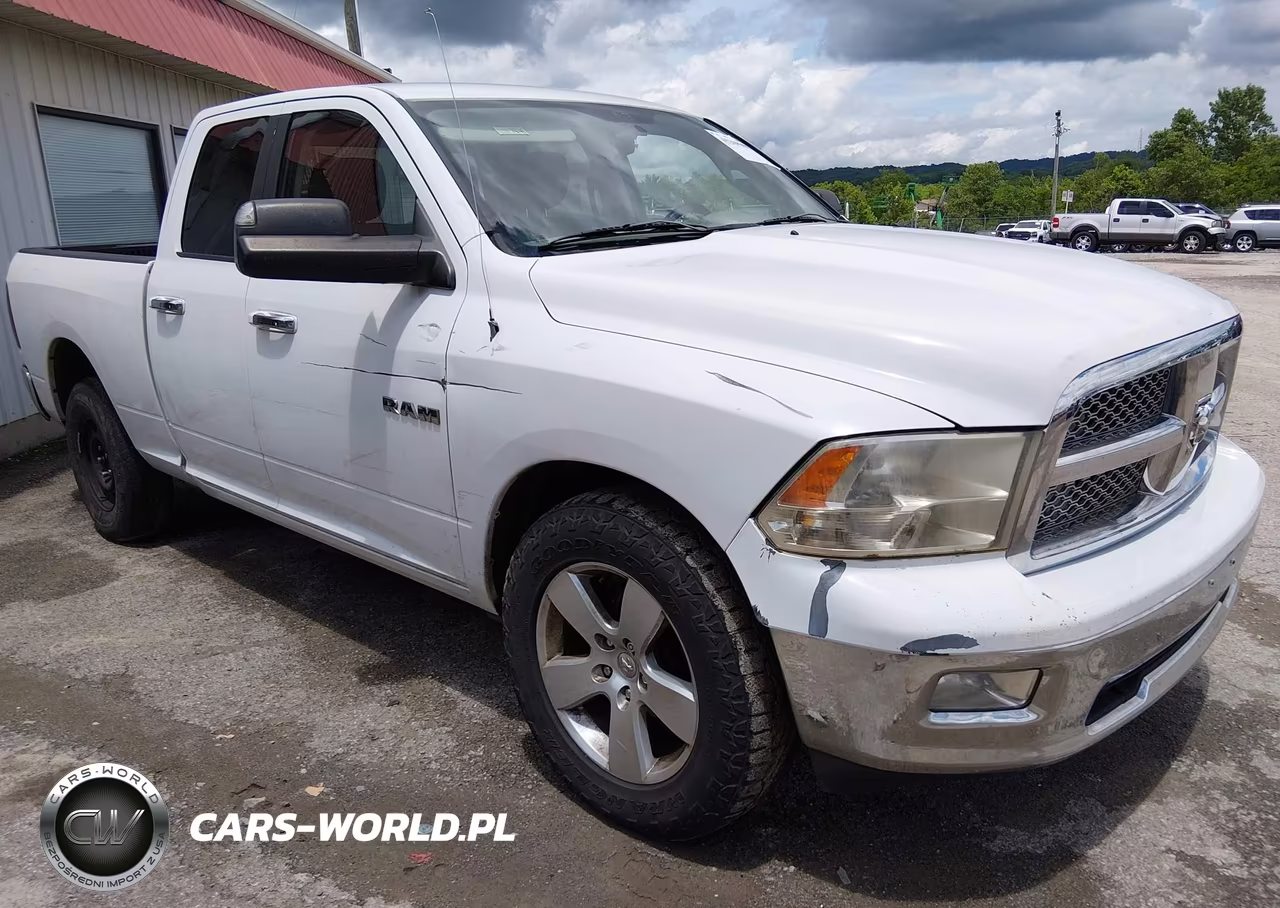 2010 Dodge Ram 1500 Slt-Sport-Trx VIN:1D7RV1GP3AS230189 - 6