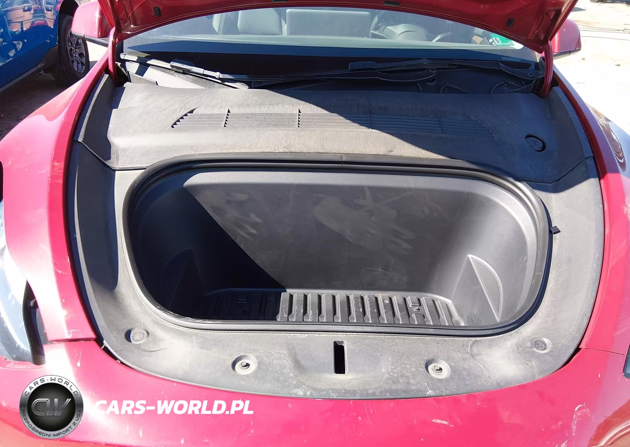 2023 Tesla Model Y VIN:7SAYGDEE9PF613033 - 10