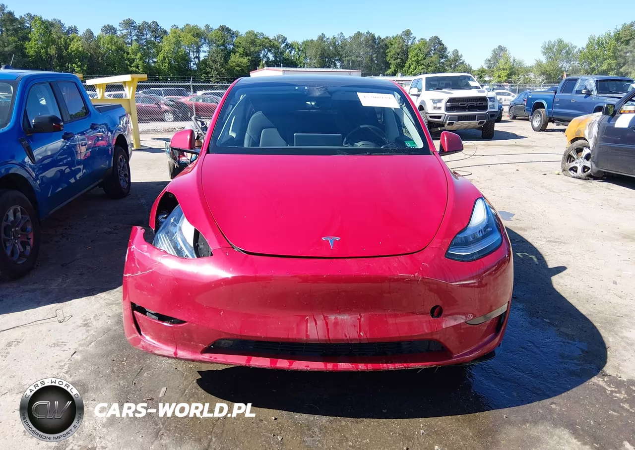 2023 Tesla Model Y VIN:7SAYGDEE9PF613033 - 12