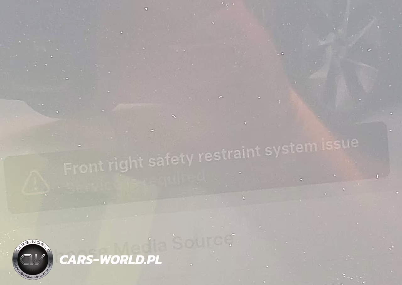 2023 Tesla Model Y VIN:7SAYGDEE9PF613033 - 19