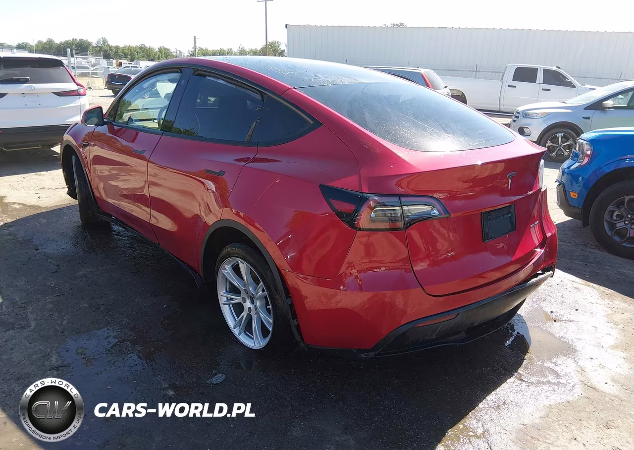2023 Tesla Model Y VIN:7SAYGDEE9PF613033 - 3
