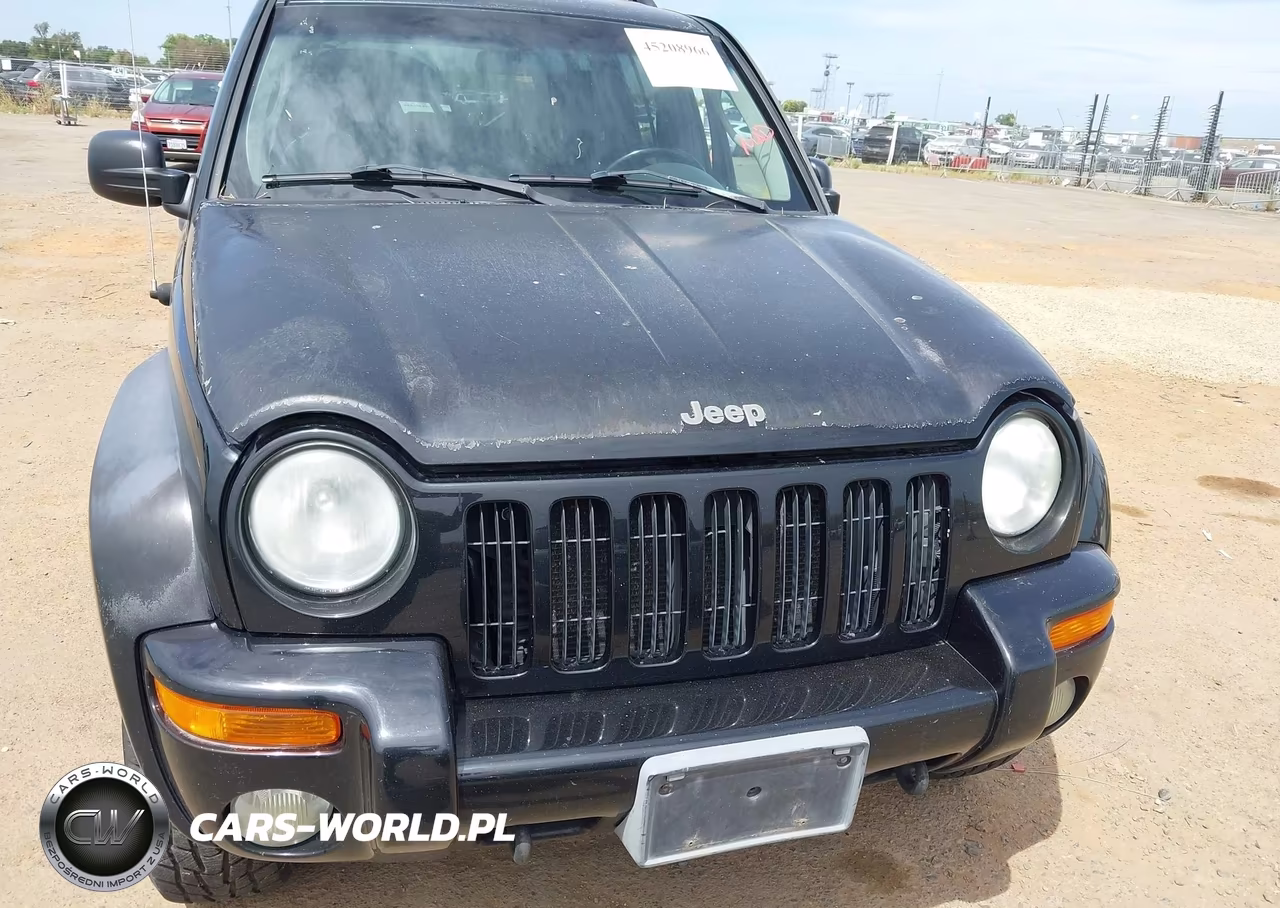 2002 Jeep Liberty Limited Edition VIN:1J8GL58K82W285211 - 6