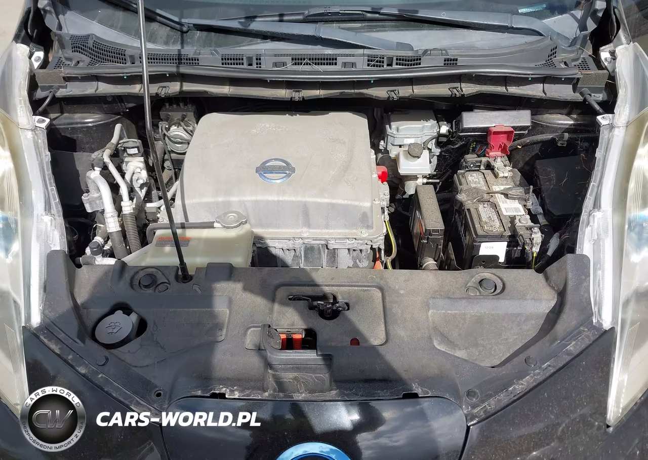 2013 Nissan Leaf Sv VIN:1N4AZ0CP3DC402978 - 10